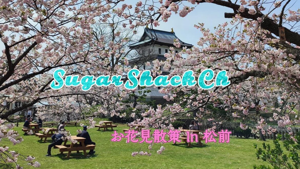 【必ず行きたい!北海道桜名所・松前公園】北海道に桜前線上陸のニュースを聞きつけ、松前町へ!日本さくらの名所100選にも選定されている松前公園で満開の桜を堪能する! 【必ず行きたい!北海道桜名所・松前公園】北海道に桜前線上陸のニュースを聞きつけ、松前町へ!日本さくらの名所100選にも選定されている松前公園で満開の桜を堪能する!