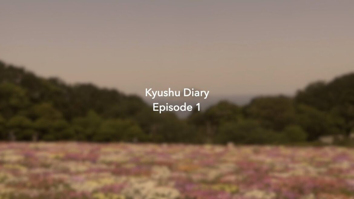 Kyushu Diary Episode 1: Nokonoshima Island & Fukuoka City Center