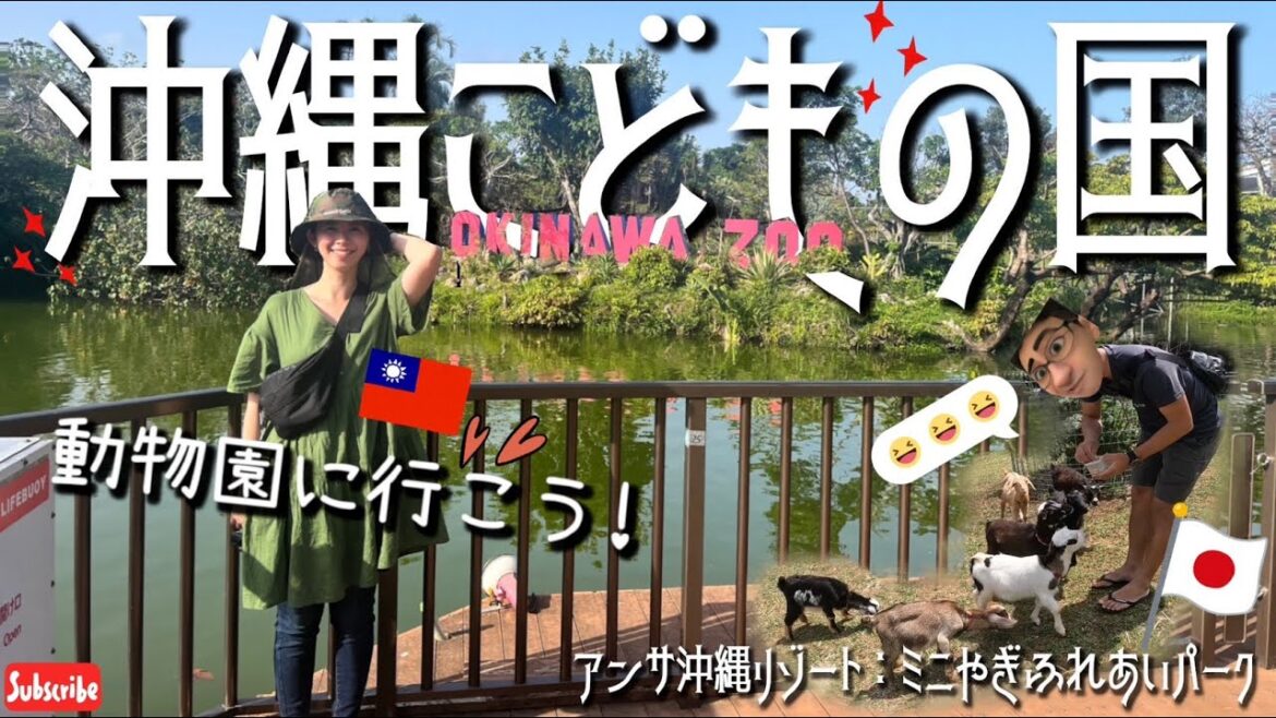 【沖縄中部沖縄市ー1日動物Vlog】來去#沖繩兒童王國 和動物們近距離接觸！｜#沖縄こどもの国 久しぶりに動物園へ行こう！