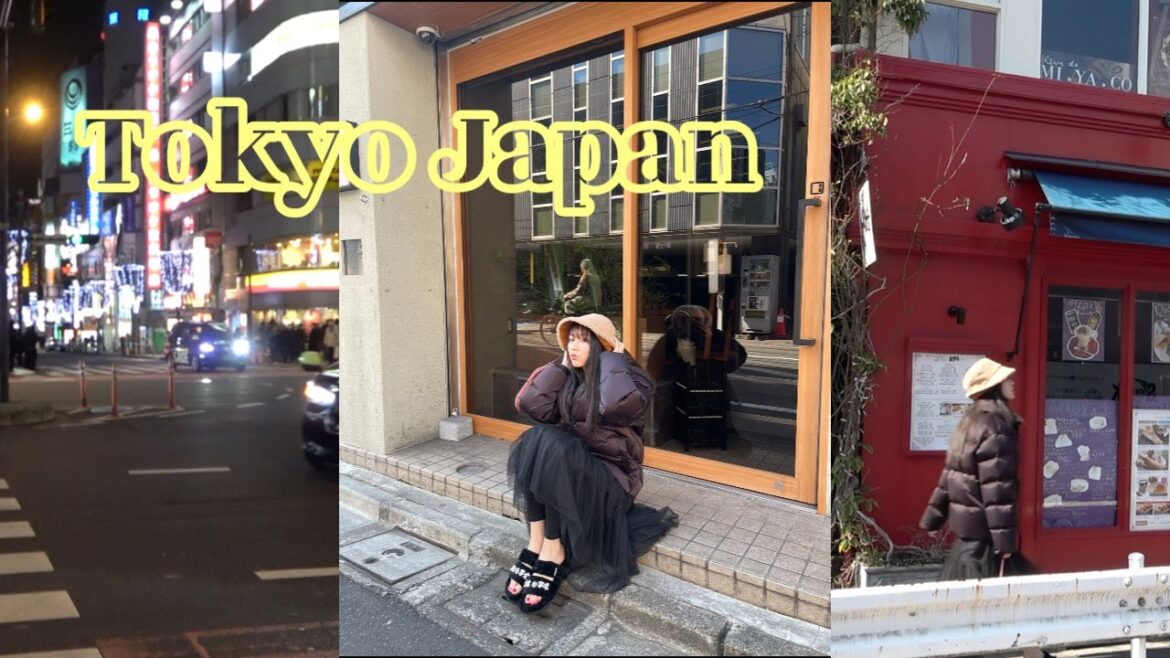 Tokyo Japan (Sushi, Vintage shopping, Yokohama Ferris Wheel)