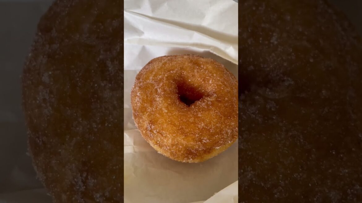 北海道に初出店「トリュフベーカリー」生ドーナツ＆カレーパンが最強に美味しそう #shorts