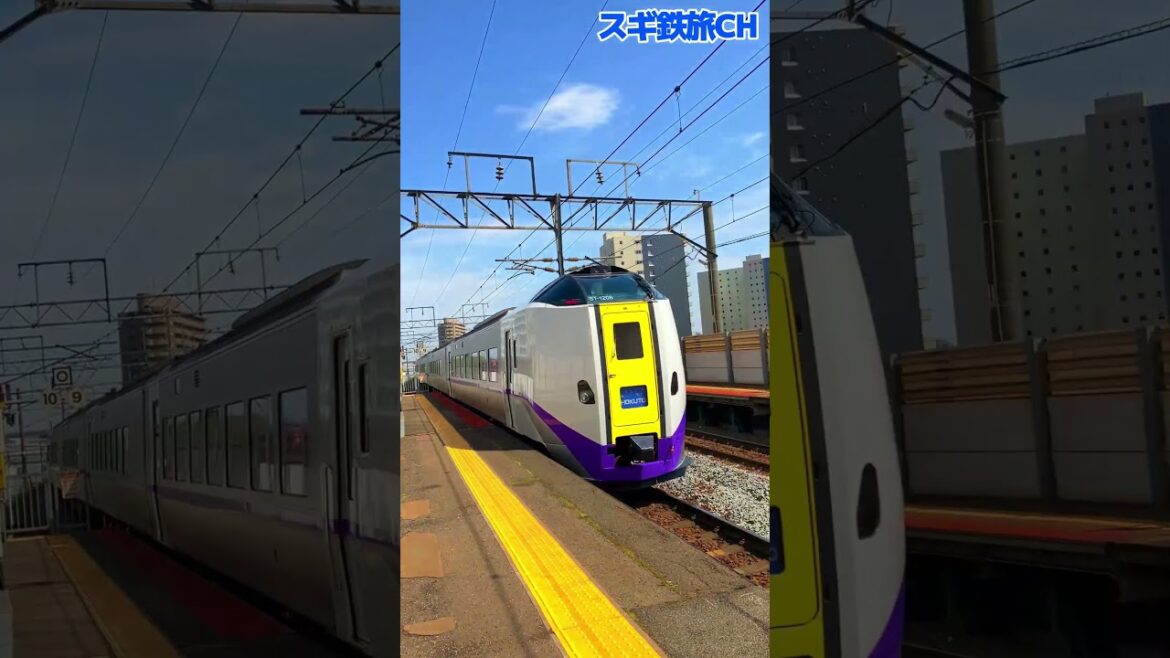 特急北斗【新札幌駅を発車　キハ261系1000番台】2023年5月撮影