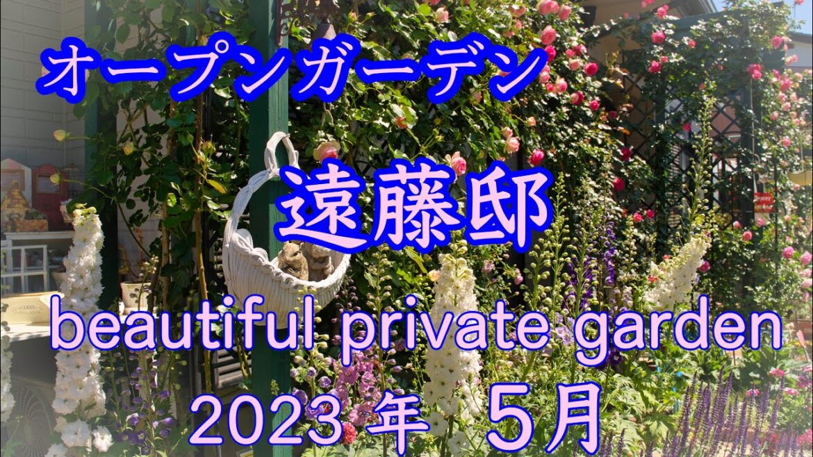 【4K オープンガーデン　遠藤邸】埼玉県　春日部市　感動🌹美しいお庭を訪問　薔薇　季節のお花　見どころ満載