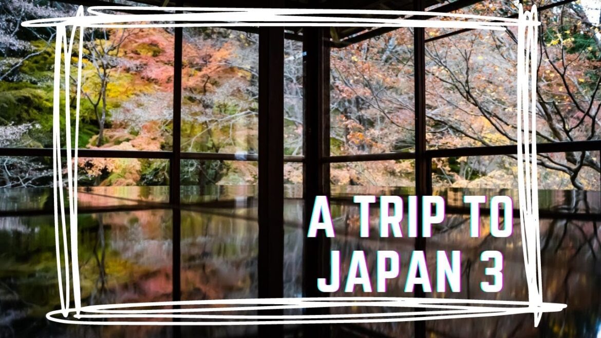A trip to Japan 3 京都 Kyoto 2019