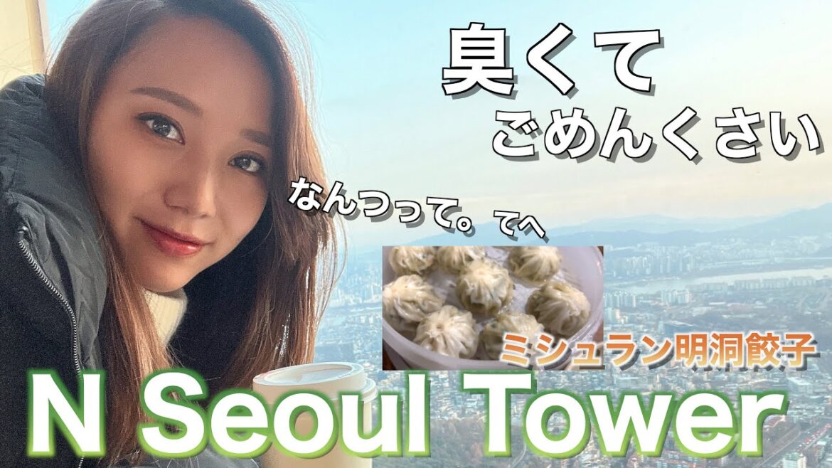 【🇰🇷N Seoul Tower】素敵なデートスポットで臭い女が一人観光。 【🇰🇷N Seoul Tower】素敵なデートスポットで臭い女が一人観光。