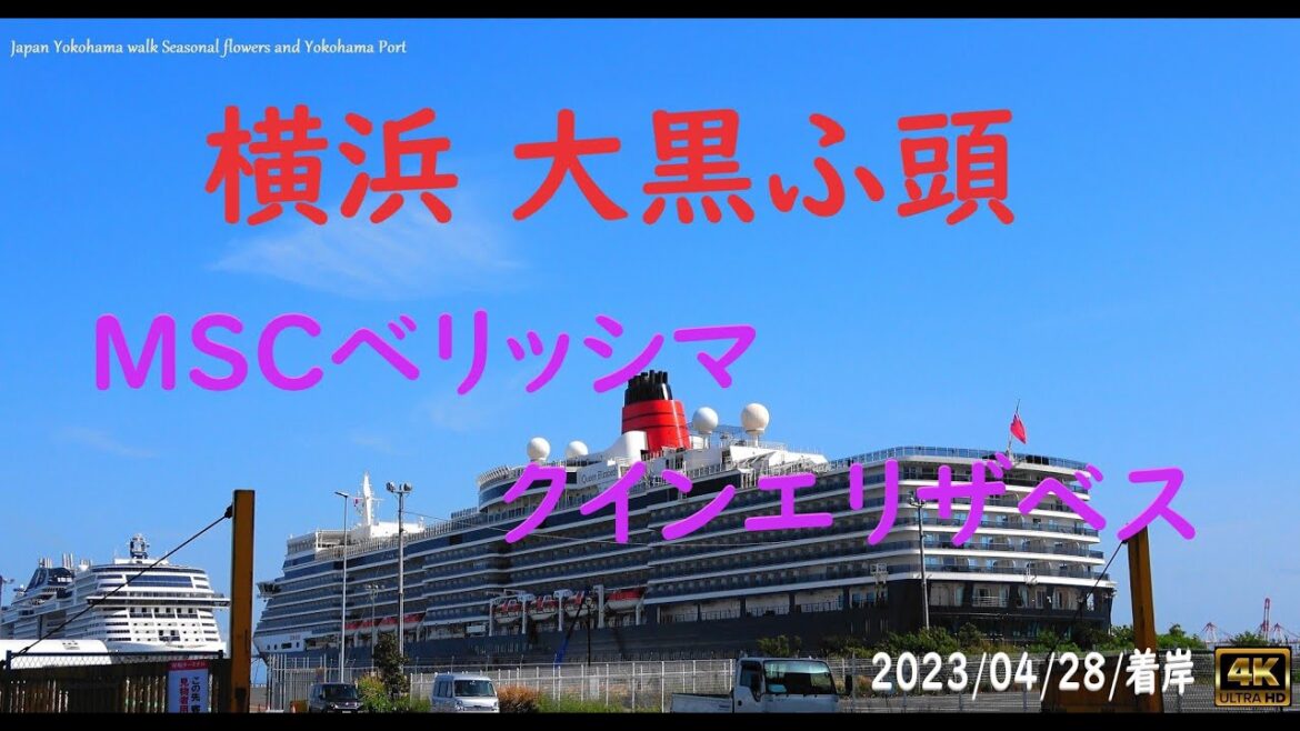 ・ＭＳＣベリッシマ：クインエリザベス 大黒ふ頭ターミナルに着岸　横浜山下公園・赤レンガ 倉庫～飛鳥Ⅱ【4K】@bellskybiz