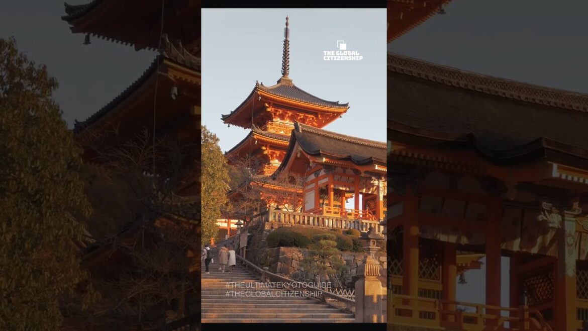 Guide to Kyoto | GLOBAL CITIZENSHIP #shorts #japanguide Guide to Kyoto | GLOBAL CITIZENSHIP #shorts #japanguide