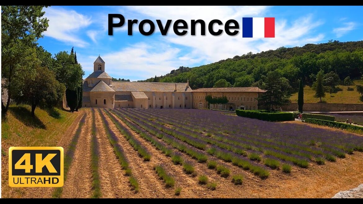 Provence – Abbaye Notre Dame de Sénanque – Lavender fields – France – 4K walking tour #lavender Provence - Abbaye Notre Dame de Sénanque - Lavender fields - France - 4K walking tour #lavender