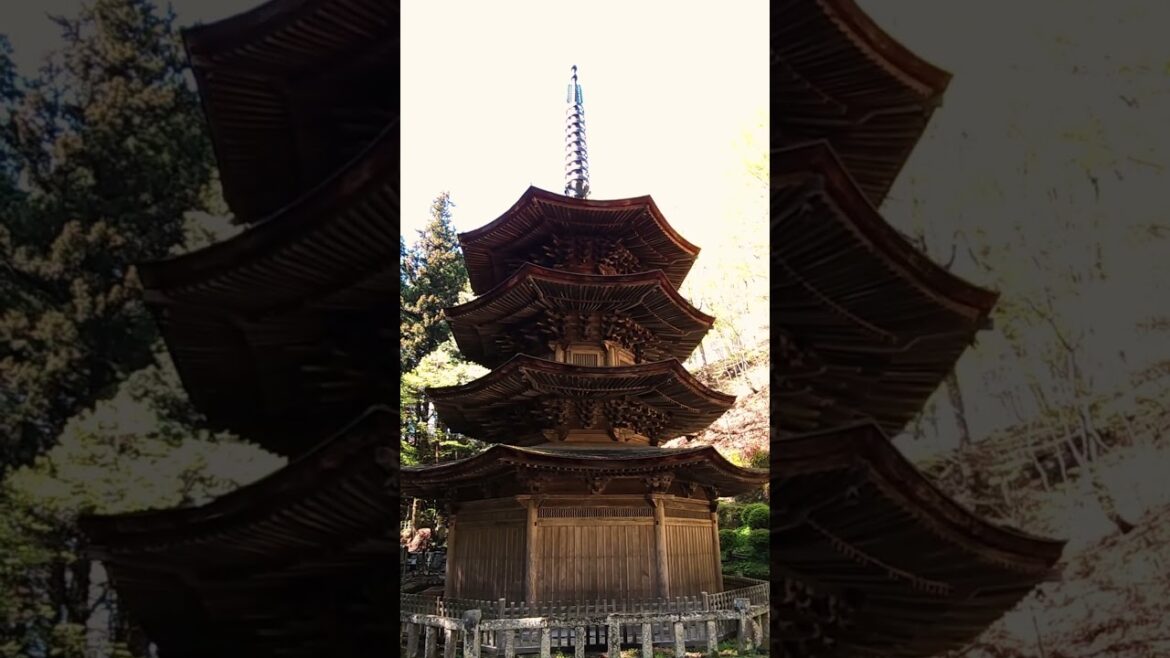 安楽寺 Anraku-ji Temple #nagano #japantravel #shorts