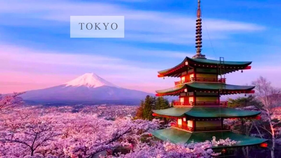 TOKYO | Japan Travel Guide (Tokyo Vacation Travel Guide) TOKYO ŞEHİR TURU TOKYO | Japan Travel Guide (Tokyo Vacation Travel Guide) TOKYO ŞEHİR TURU