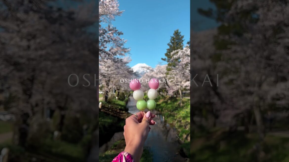 BEST VIEWPOINTS TO SEE MT FUJI