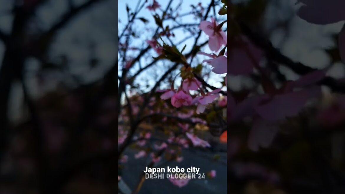 Japan Kobe city  | Kobe city ultra HD | Kobe city 25 sec Japan Kobe city  | Kobe city ultra HD | Kobe city 25 sec