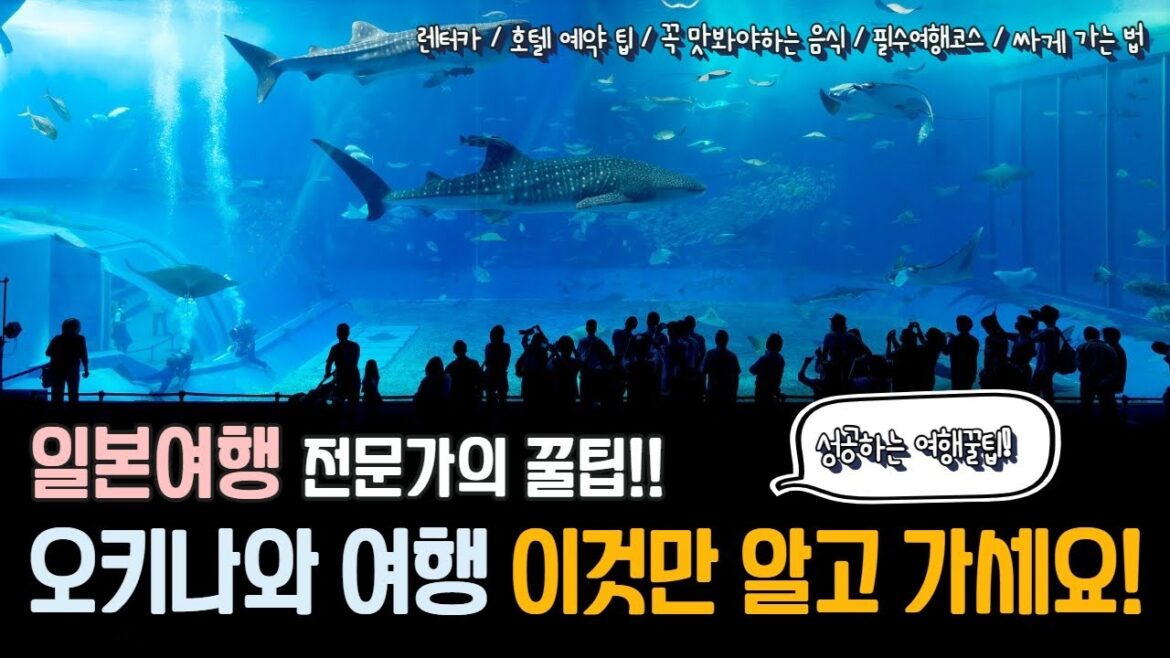 요즘 최신 오키나와 여행정보!  3박 4일 자유여행 그대로 따라가기  일본여행 작가와 함께 다녀온 오키나와 여행 제 1편