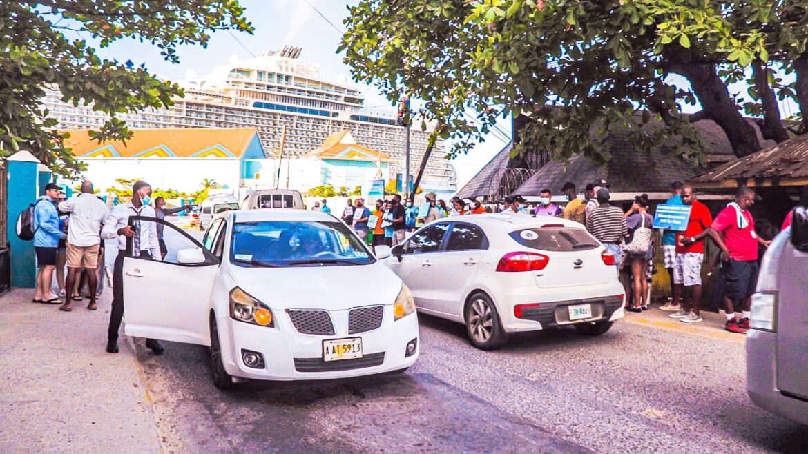 Roatan Honduras- things to do - Life as a tour guide - East Side Adventure Mangrove Tour