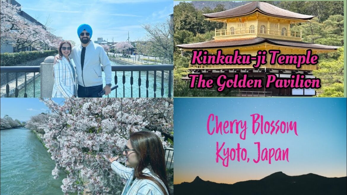 TRIP TO KYOTO, JAPAN IN CHERRY BLOSSOM