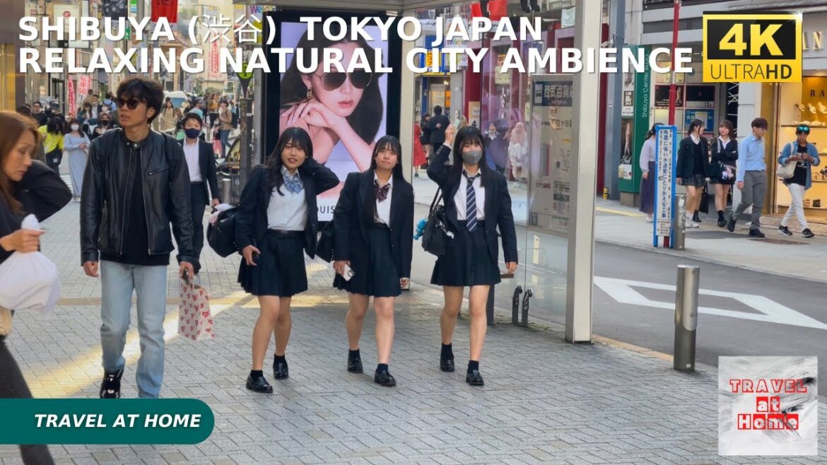 4k hdr japan travel | Walk in Shibuya (渋谷) Tokyo japan | Relaxing Natural City ambience 4k hdr japan travel | Walk in Shibuya (渋谷) Tokyo japan | Relaxing Natural City ambience