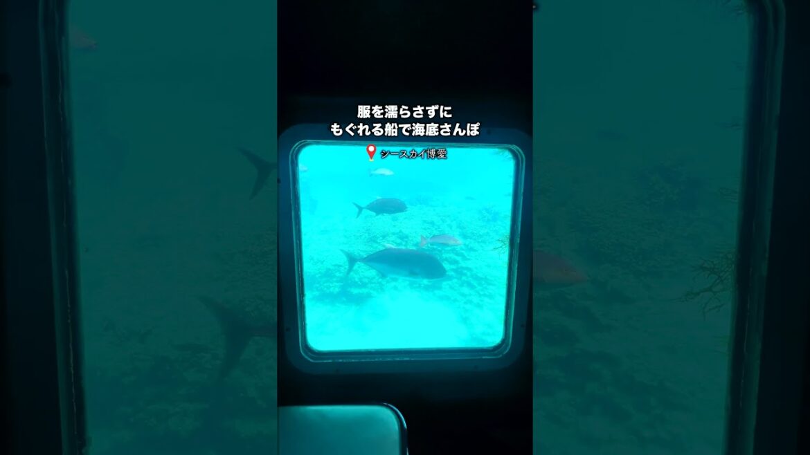 ホントに日本?三度見する天国島がすごかった… #shorts ホントに日本?三度見する天国島がすごかった… #shorts