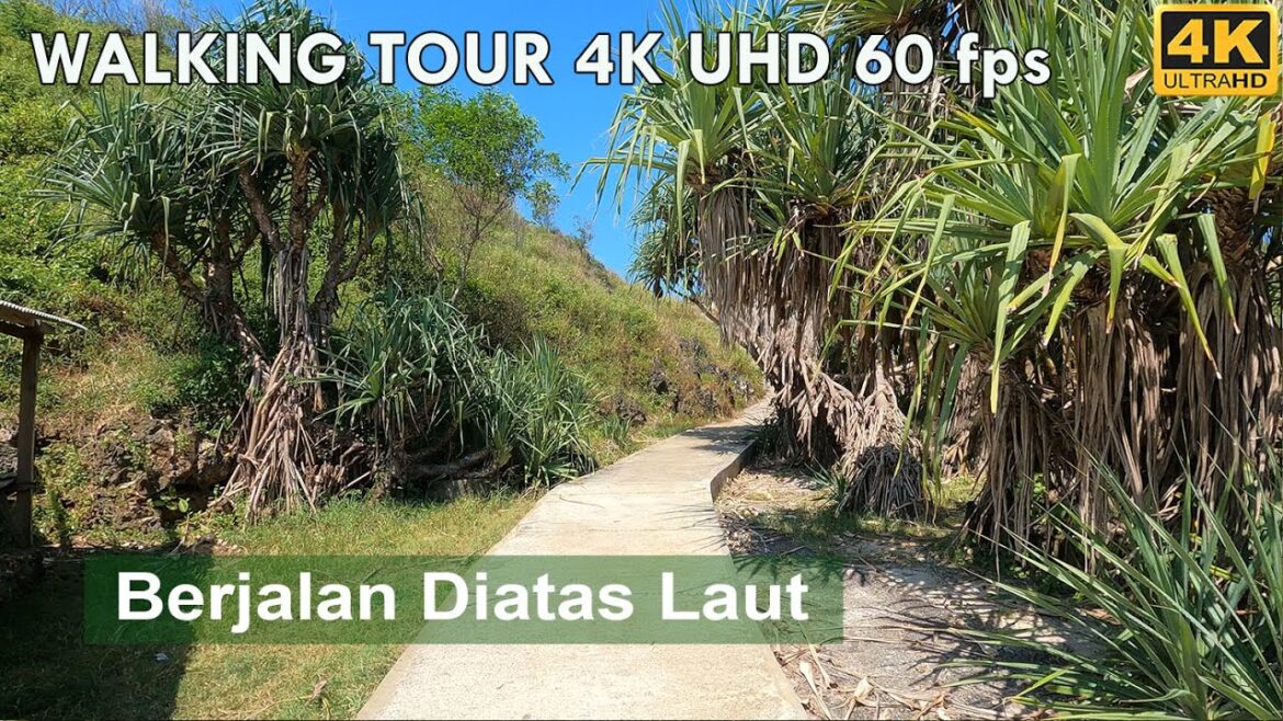 Berjalan di atas laut, pegunungan karang I walking tour east java 4K HDR