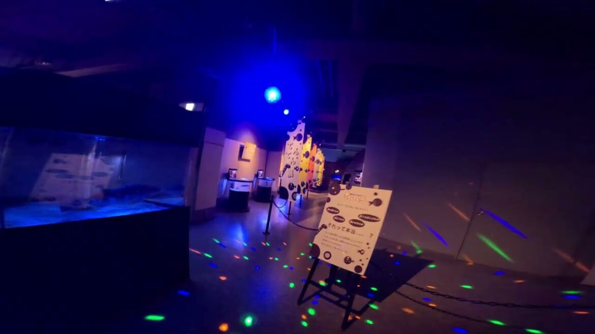 Blazingsword – Japan 2023 – Sapporo Blazingsword - Japan 2023 - Sapporo