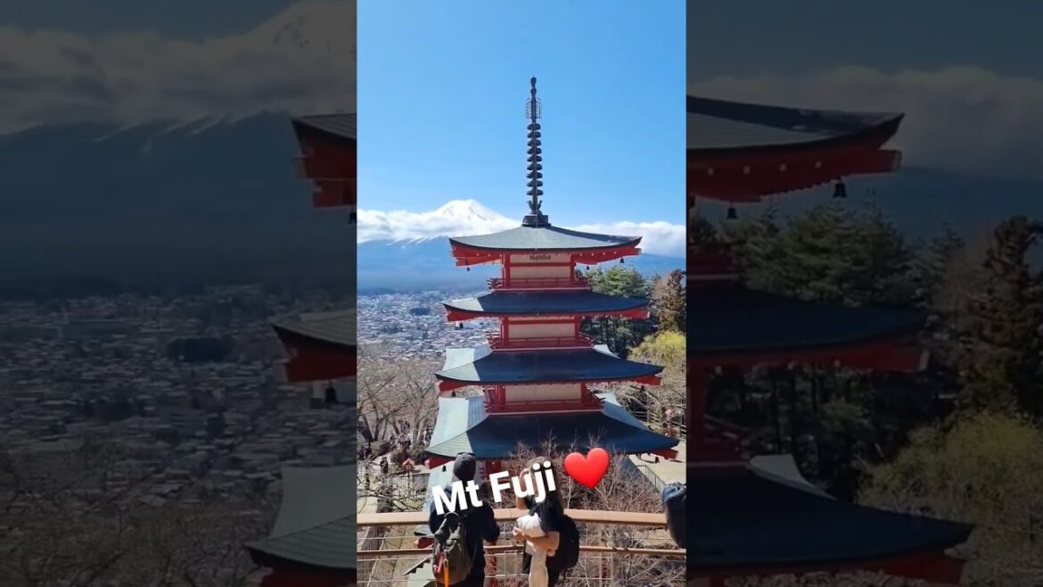 Tourist View Mt Fuji 🏔 #mtfuji #japan #spring #mountfuji #japantravel #japanvlog