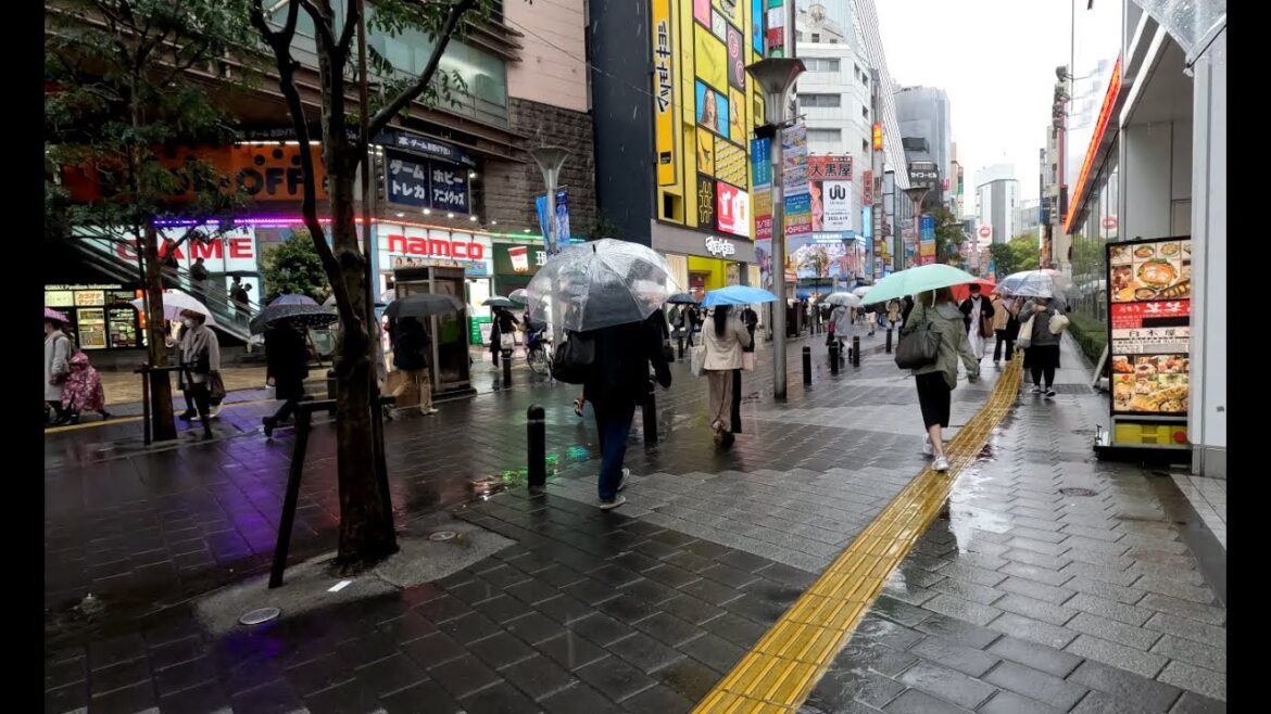 March 2023 - Ikebukuro, Tokyo - Walking in the rain to get Kura Sushi reservation, Stop by Pet Cafe