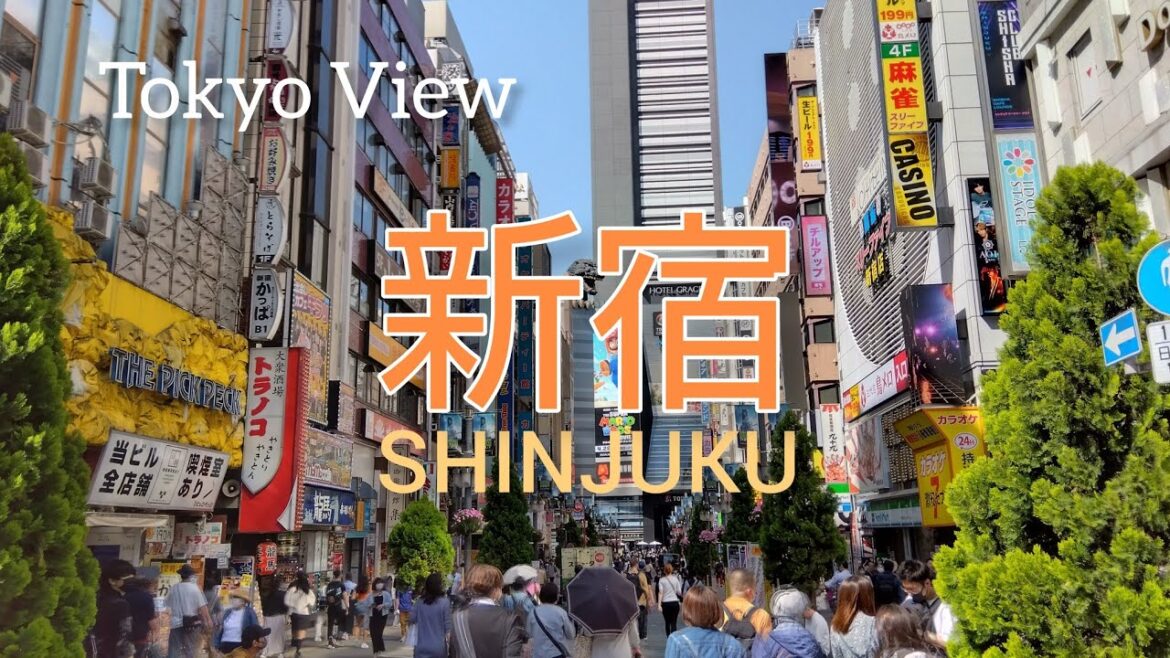 【4K】新宿を散策 Shinjuku Walking Tour – Tokyo Japan 【4K】新宿を散策 Shinjuku Walking Tour - Tokyo Japan