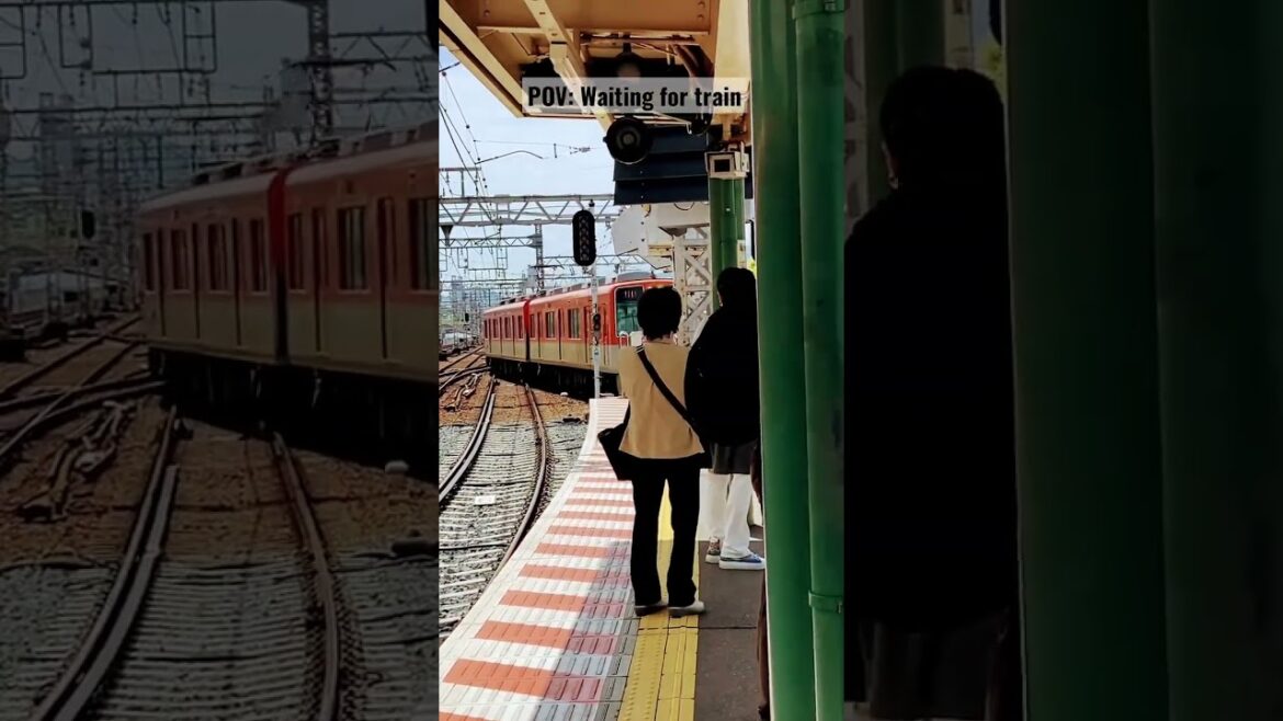 Train platform in Japan #train #platform #railcrossing #technology #shorts #日本 #japan #travel