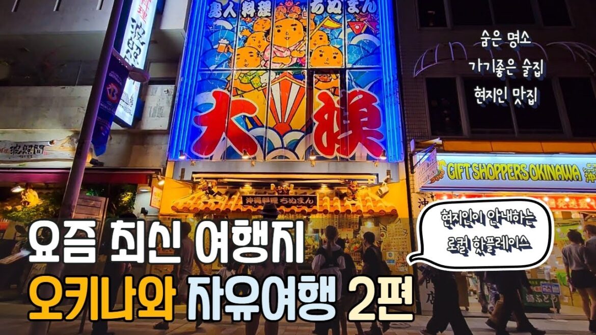 그대로 따라하면 성공하는 오키나와 자유여행 2편  현지인이 안내하는 로컬 핫플레이스 현지인 맛집부터 술집 숨은 명소, 돈키호테 할인꿀팁 그대로 따라하면 성공하는 오키나와 자유여행 2편  현지인이 안내하는 로컬 핫플레이스 현지인 맛집부터 술집 숨은 명소, 돈키호테 할인꿀팁