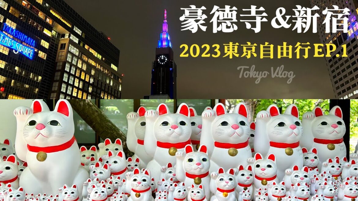 【2023東京自由行Vlog】EP.1 豪德寺招福貓｜新宿逛街｜藍瓶咖啡｜東京推薦景點美食｜日本旅遊｜ Tokyo Travel Vlog ｜ Blue Bottle Coffee｜food