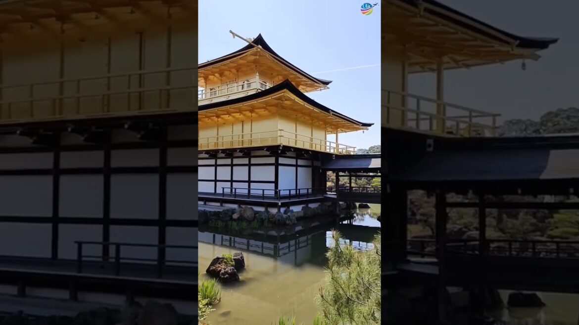 Kinkakuji Temple, Kyoto #shorts #travel