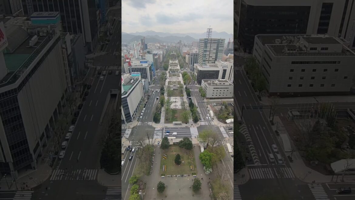 "さっぽろテレビ塔"タイムラプス　 #japantravel  #japan  #hokkaido #travel #sapporo