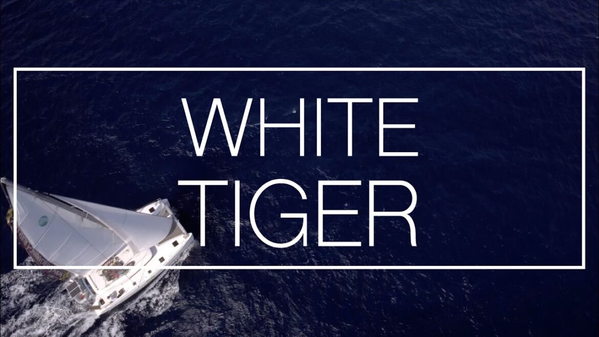 White Tiger | Follow our Kitesurfing adventure around the Cyclades, Greece