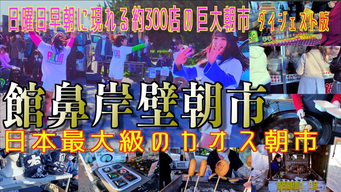 館鼻岸壁朝市 -日曜日に現れる日本最大級のカオス朝市- 青森県八戸市 ダイジェスト 2023/04/23 館鼻岸壁朝市 -日曜日に現れる日本最大級のカオス朝市- 青森県八戸市 ダイジェスト 2023/04/23
