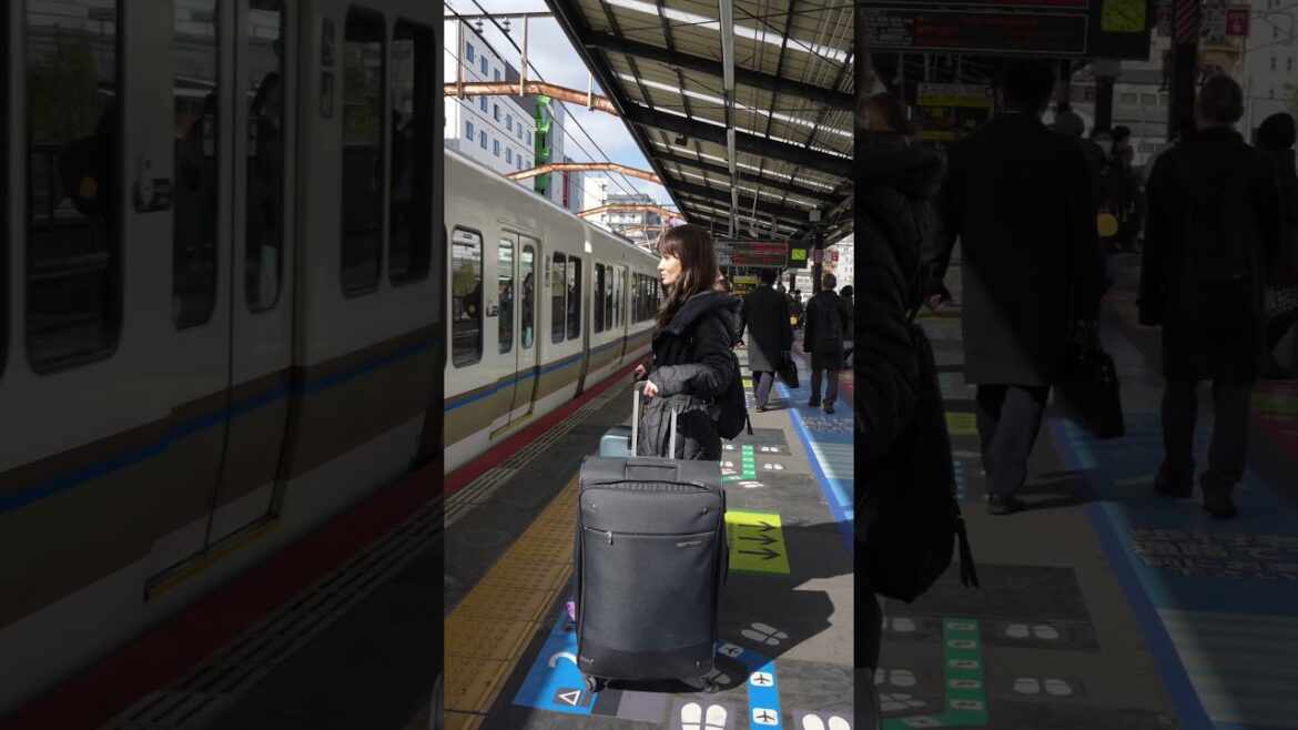 Why Kyoto Should be Your Next Travel Destination