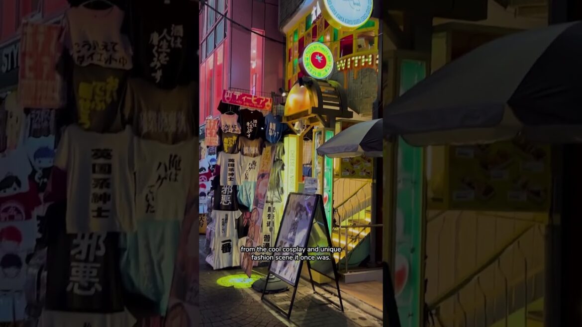 3 Tourist TRAPS to AVOID in Japan! 3 Tourist TRAPS to AVOID in Japan!