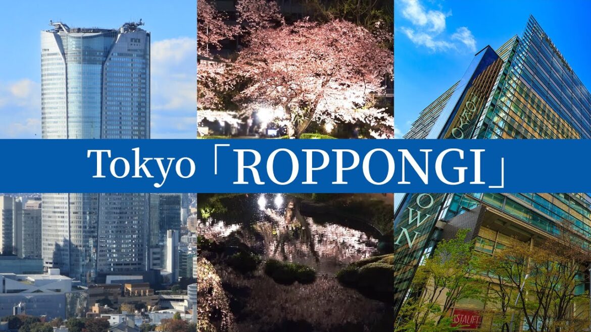 ROPPONGI🇯🇵 TOKYO, JAPAN ROPPONGI🇯🇵 TOKYO, JAPAN