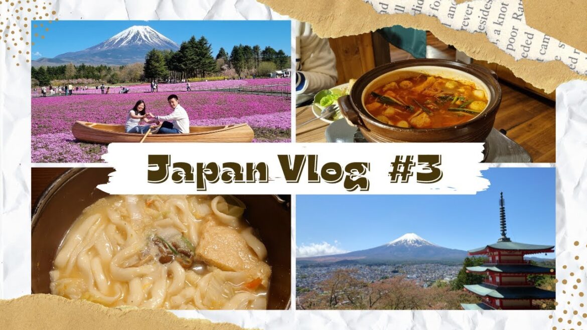 Mount Fuji and Kawaguchiko  | Spring in Japan | Japan Vlog #3