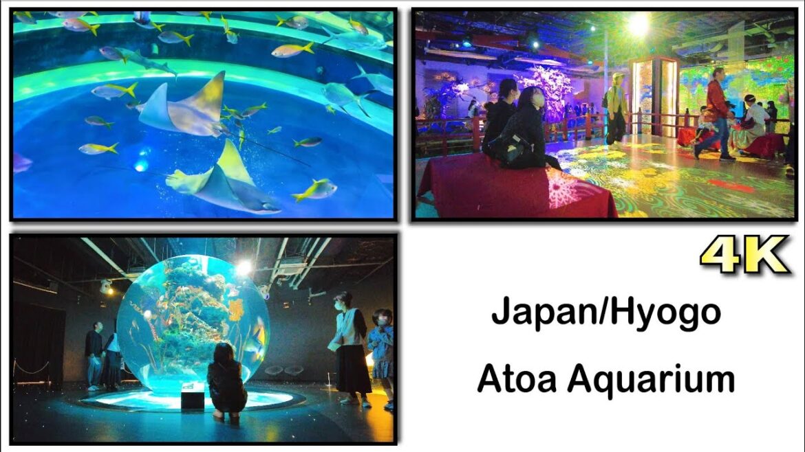 [4K] Travel Diary to "Atoa Aquarium" in Hyogo | Japan📘