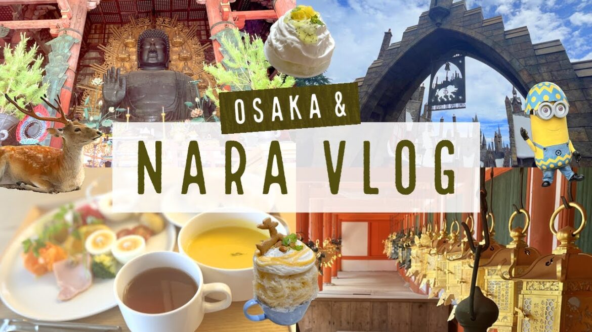 【大阪奈良旅行VLOG】USJ | 観光地巡り | おしゃれホテル | かき氷 【2022年5月】