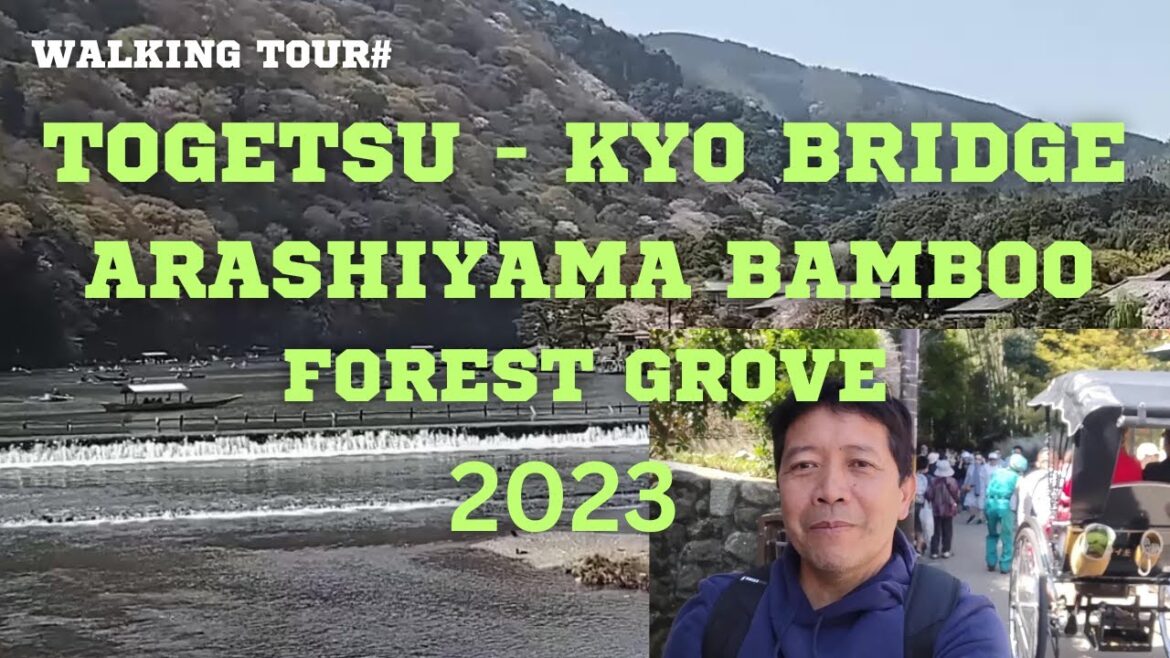 KYOTO/ JAPAN -TOGETSU-KYO BRIDGE and ARASHIYAMA BAMBOO FOREST GROVE WALK TOUR #