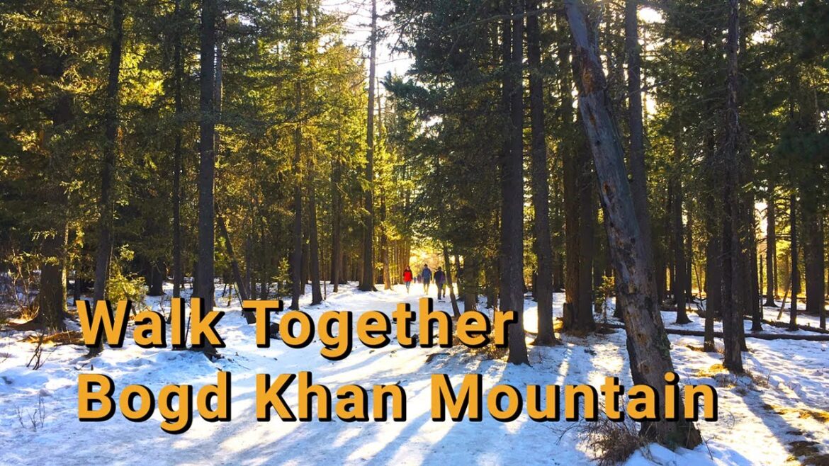 Morning Walk on Bogd Khan Mountain | Walk Together | Travel in Mongolia