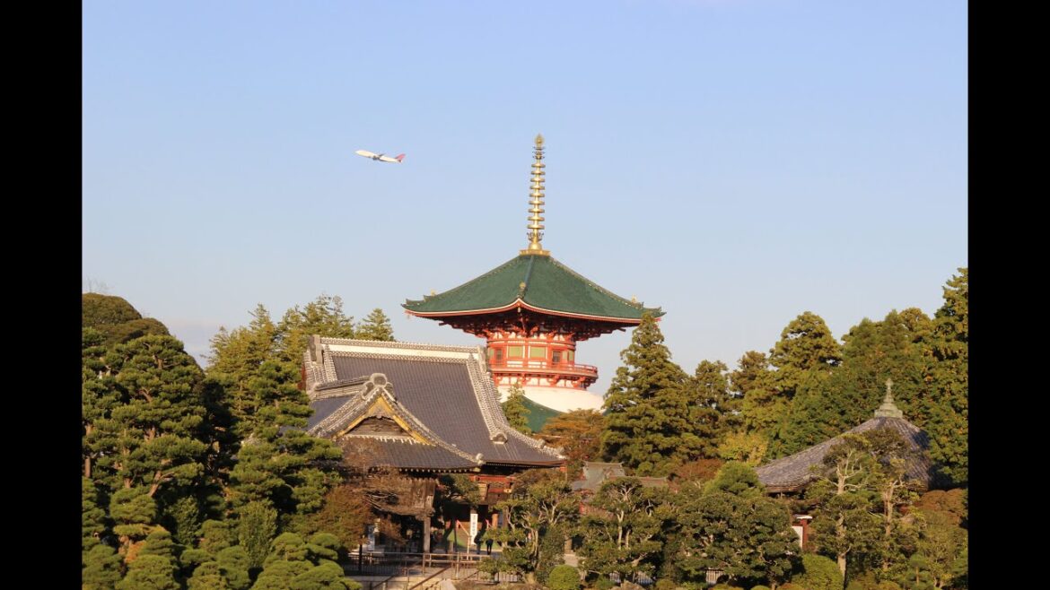 Храм Narita - San. Префектура Тиба. (Japan)