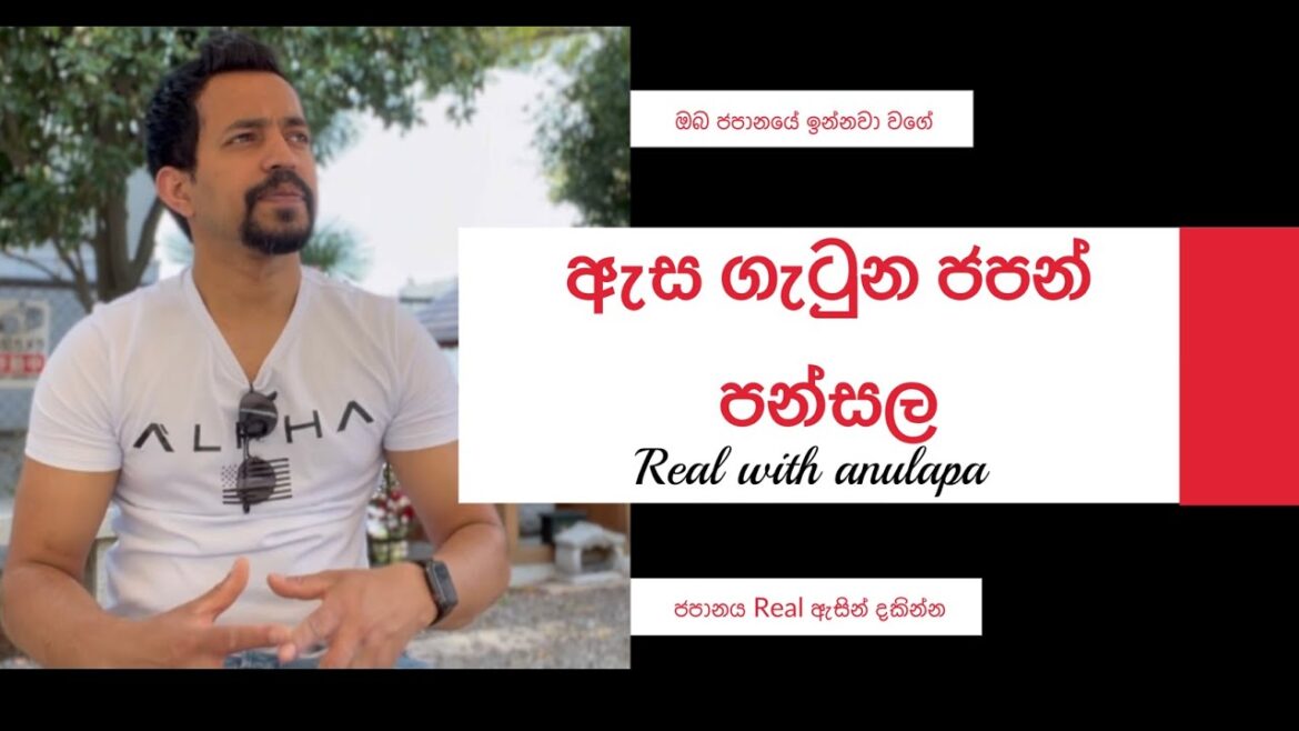 අහම්බෙන් හමුවුන ජපන් පුරාණ පන්සල