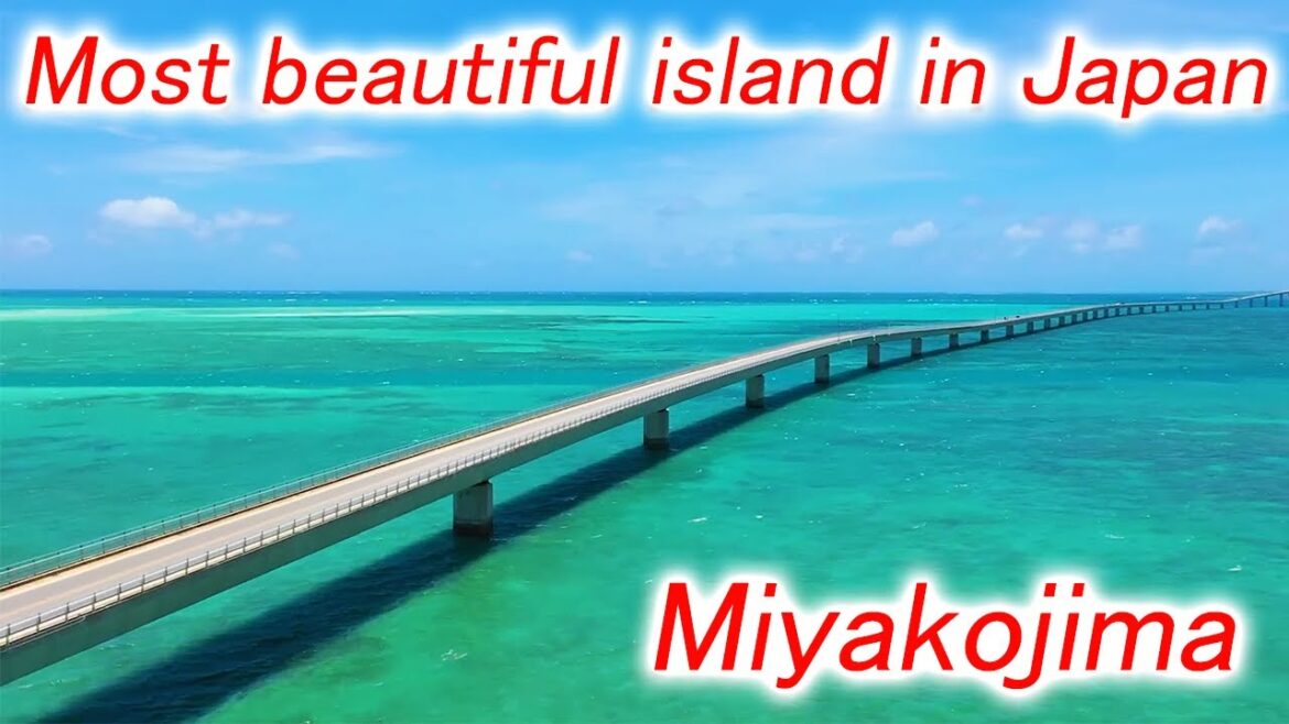 Japan's most beautiful island, Miyakojima！Tropical climate and clear seas