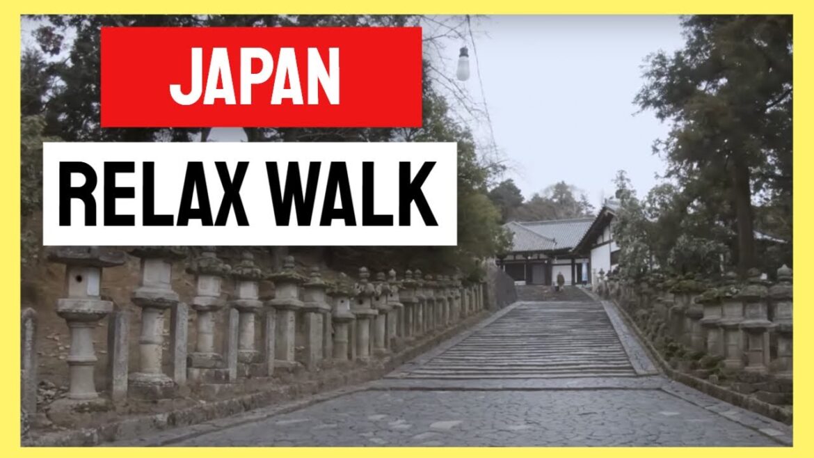 🚶‍♂️【4K】WALK Nara Temples Japan - Historic Temple Tour 🇯🇵 Slow TV Travel Vlog