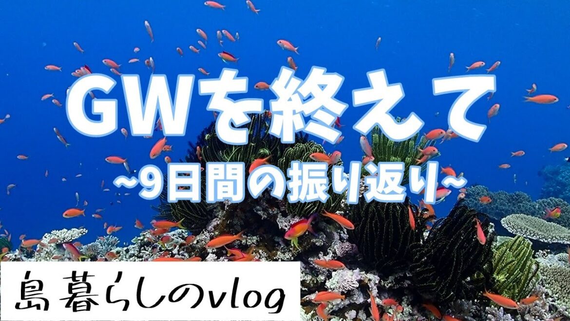 シュノーケリングツアーGW9日間の振り返り映像/No.222