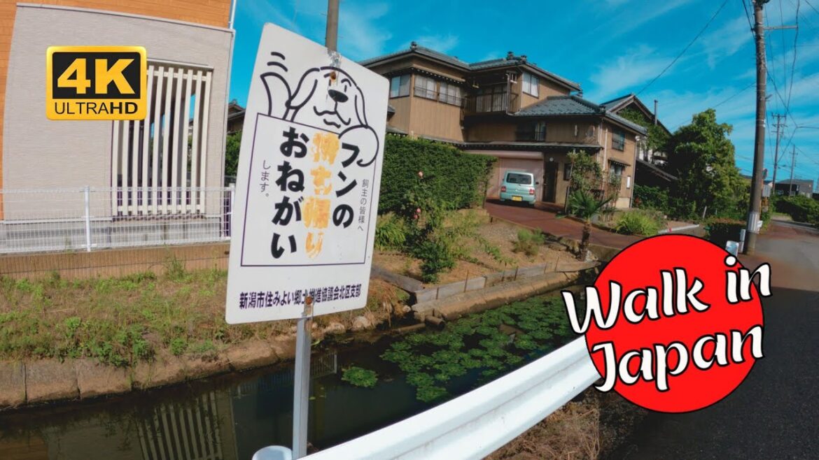 Explore Toyosaka in Niigata, Japan (4K 60FPS)