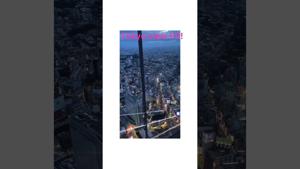 Tokyo view#youtubeshorts #ytshorts #public #travel #france #japan #tokyo #pakistan #bollywoodsongs