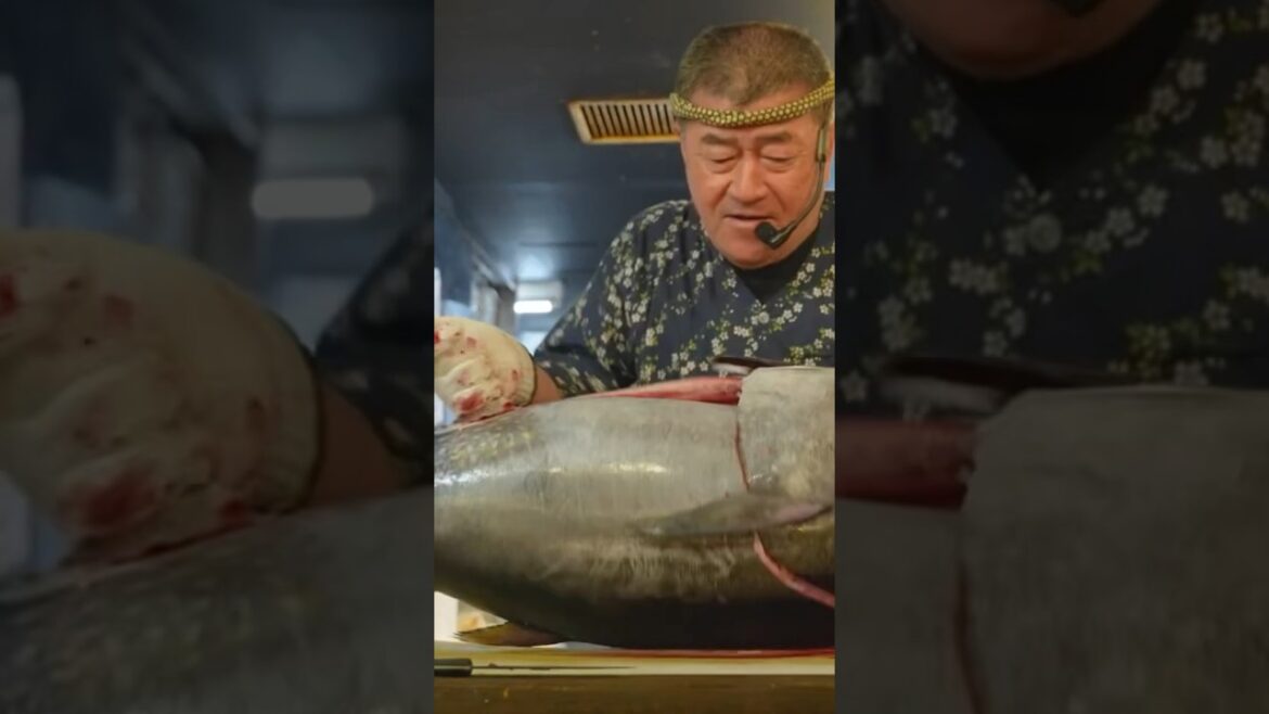 Cutting a big Bluefin Tuna | Surprising skill with one knife | Street food in Tokyo, Japan #shorts Cutting a big Bluefin Tuna | Surprising skill with one knife | Street food in Tokyo, Japan #shorts