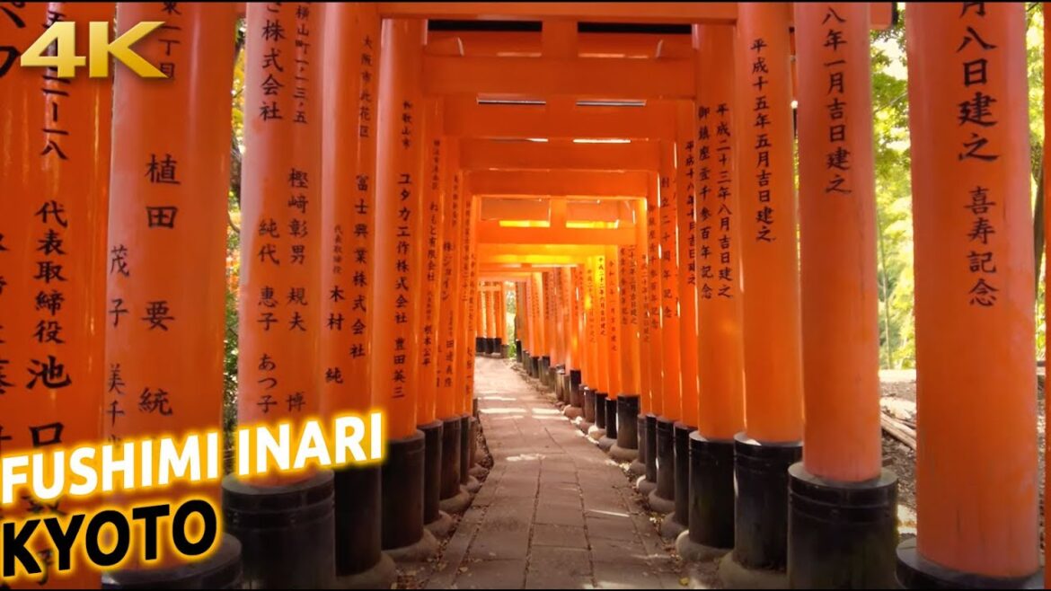 Walking down from the top of Fushimi Inari Taisha in Kyoto, Japan [4K]